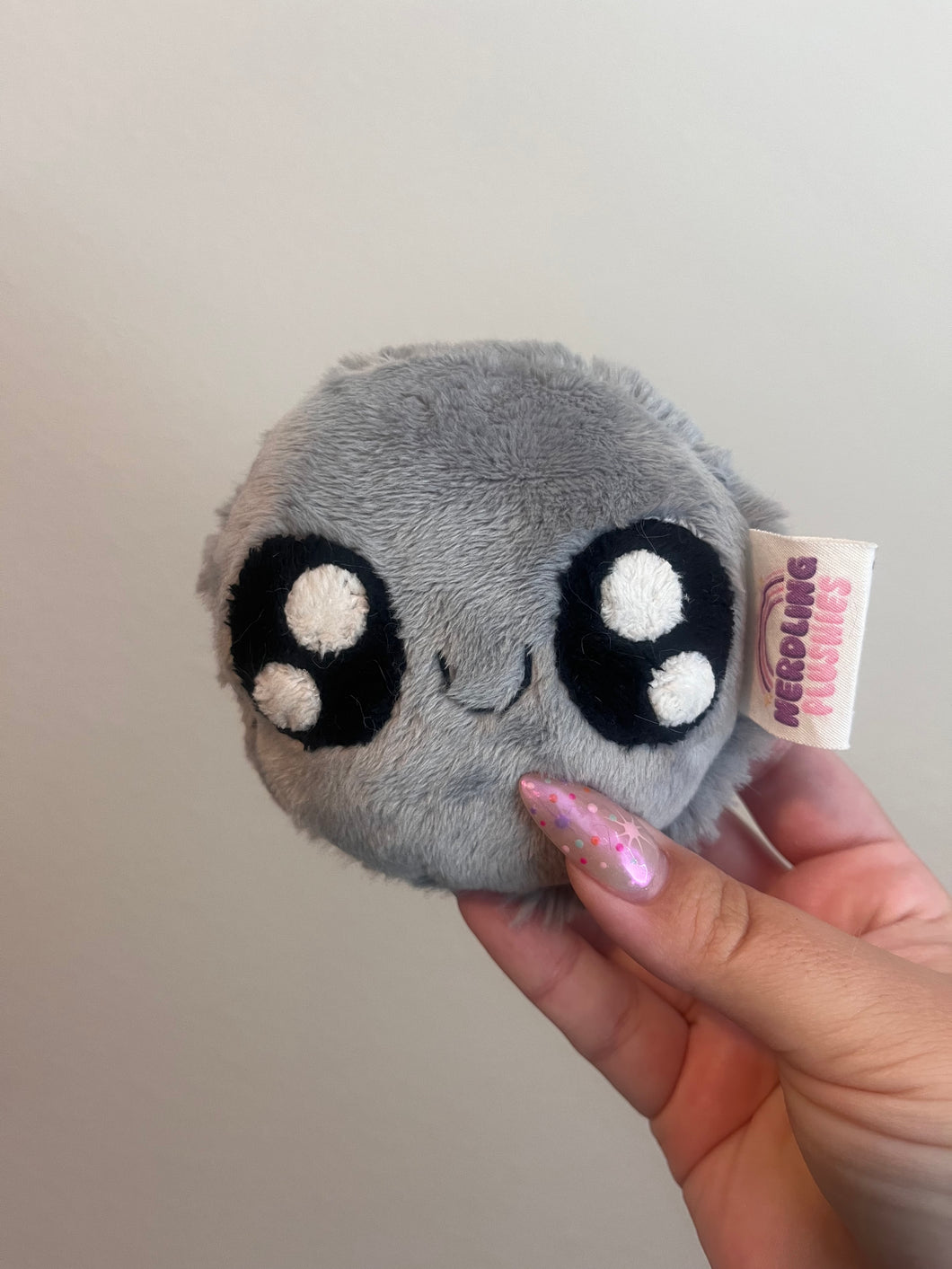 Pet rock